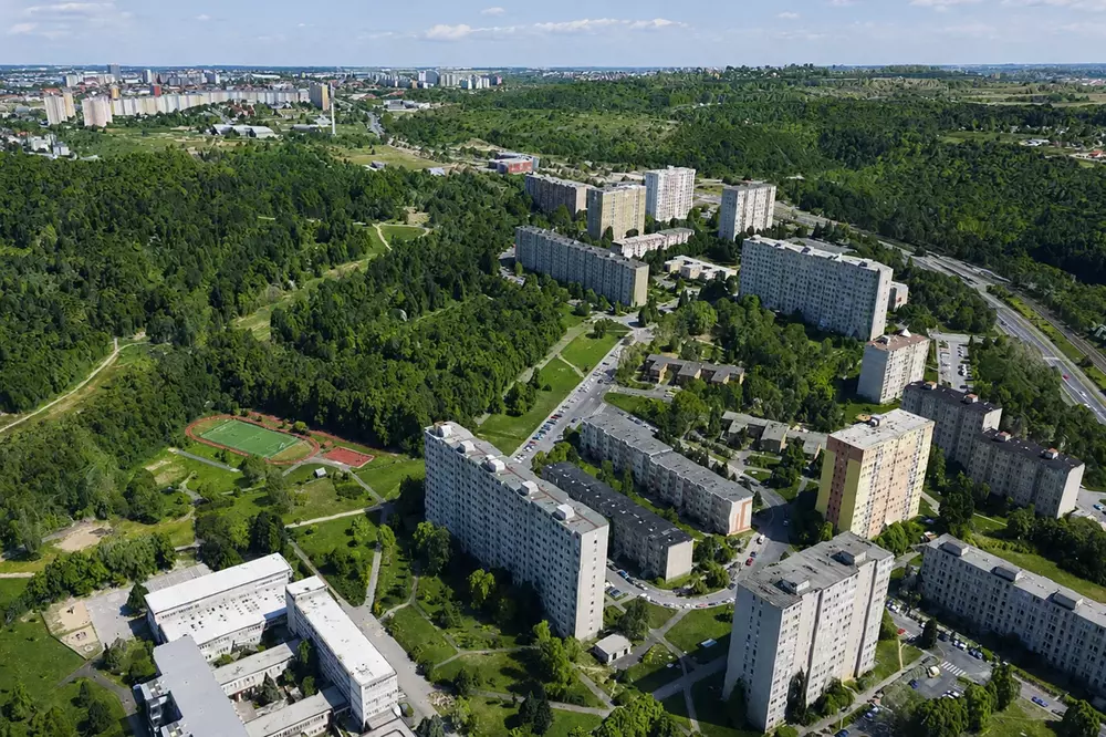 Foto